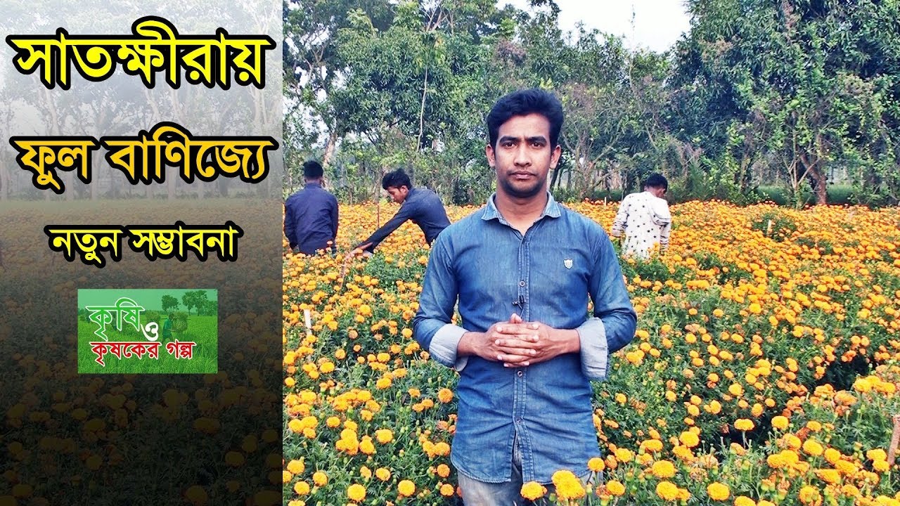 flower cultivation in bangladesh- flowers farming