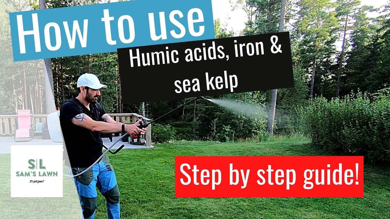 How to use HUMIC ACIDS, IRON & SEA KELP for summer stressed Lawns - Step by Step Guide