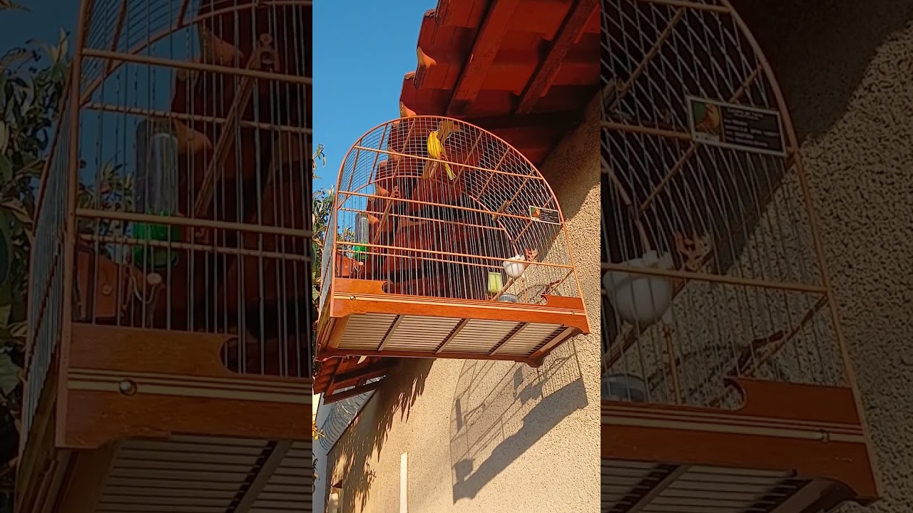 25 de outubro de 2025