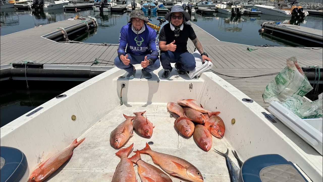 Vermilion Hunting at Fujairah UAE