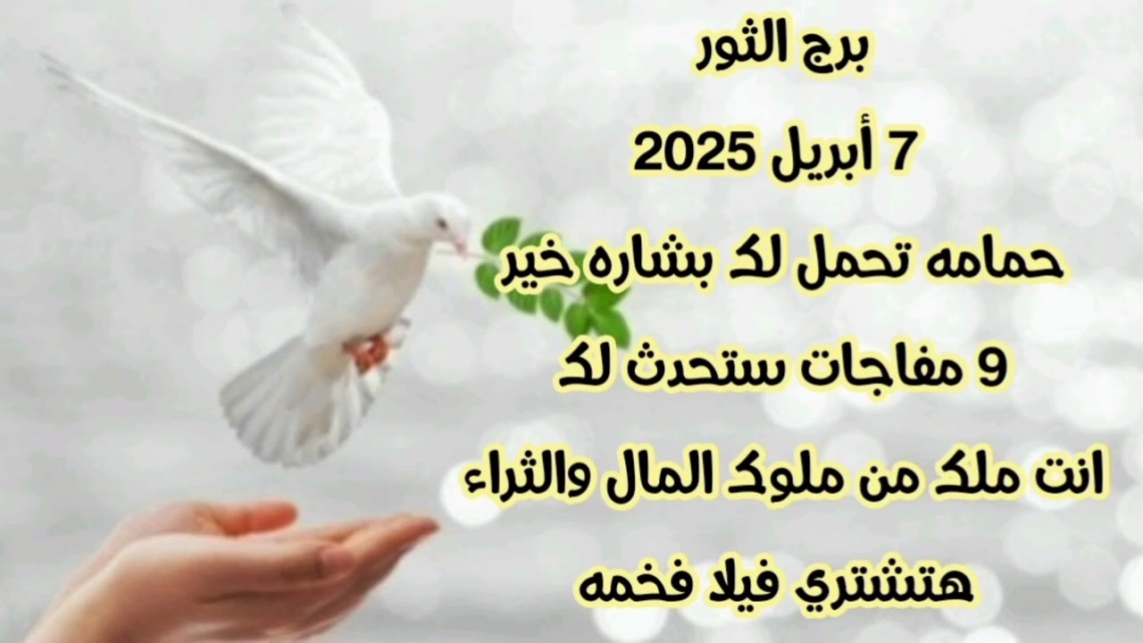 برج الثور 7 أبريل 2025//حمامه تحمل لك بشاره خير 💫 9 مفاجات ستحدث لك 💫 انت ملك من ملوك المال والثراء