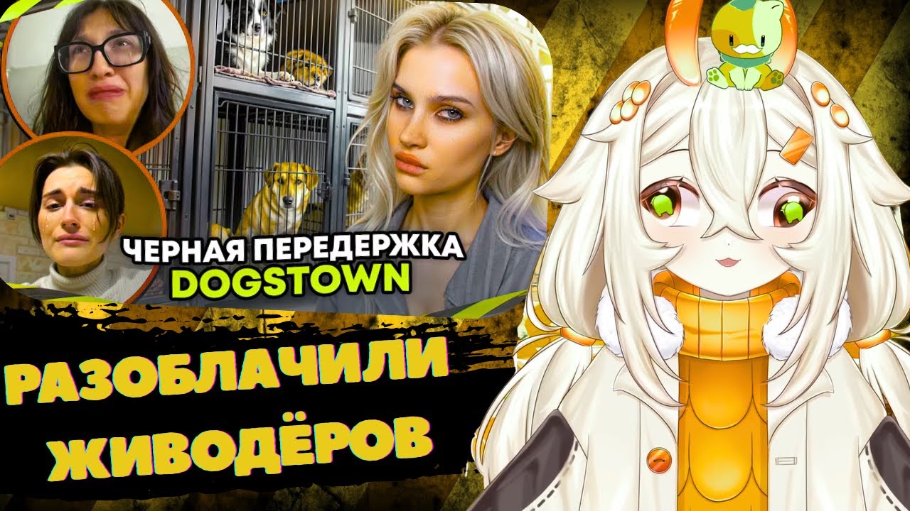 МЕМЕЛЬ СМОТРИТ | Разоблачение собачьей передержки за 6.000.000 рублей в месяц