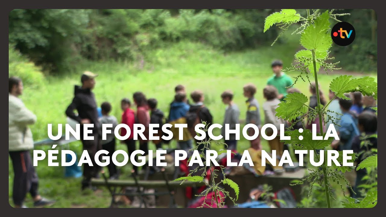 Une Forest School &agrave; Brest : la p&eacute;dagogie par la nature