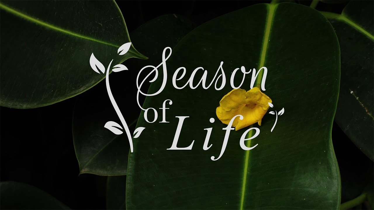 Season of Life at Evolve Back, Hampi
