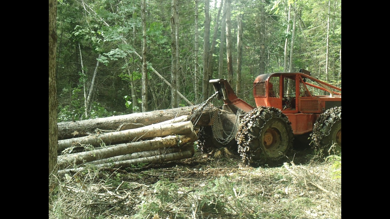 Timber Tax Workshop - February 10, 2026