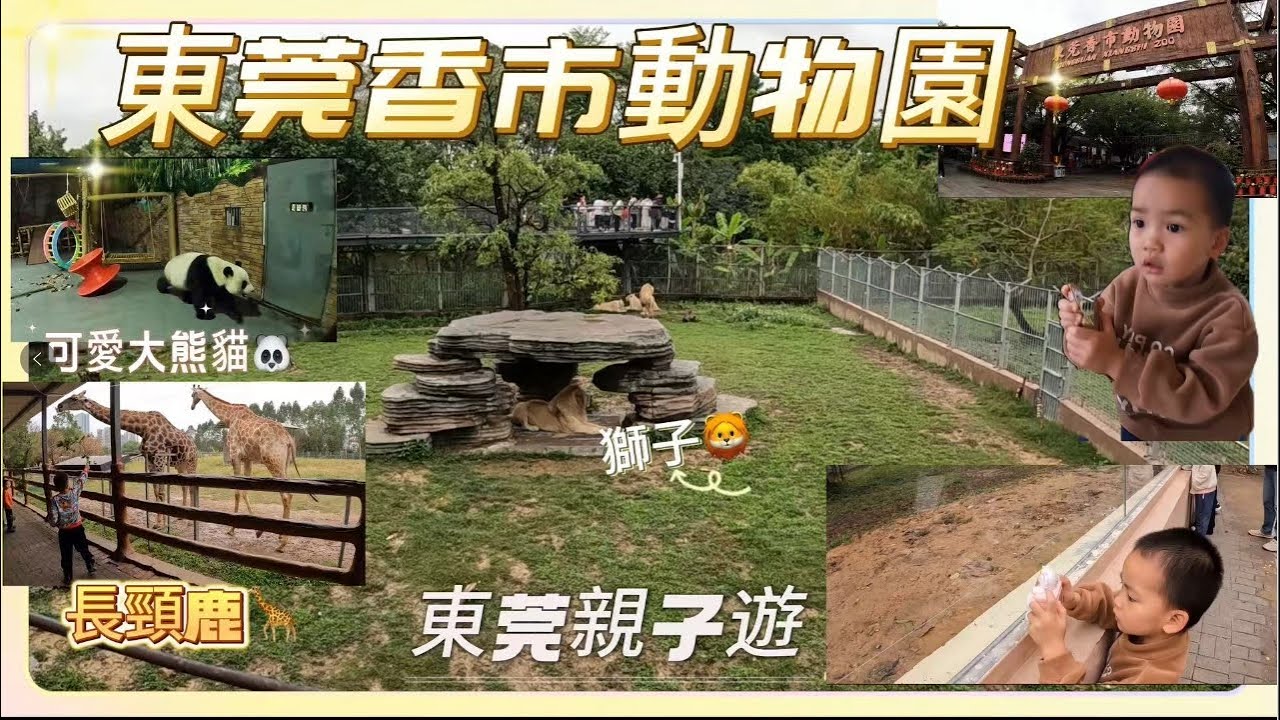 【2025東莞親子遊】110元一張成人門票🎫 值吾值去參觀丨東莞香市動物園丨東莞丨Vlog#46
