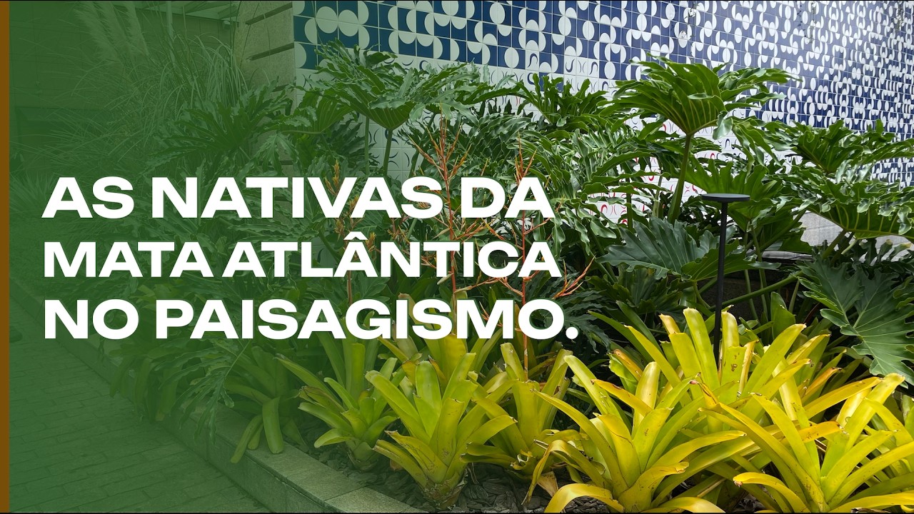 Ландшафт только из местных растений: страсть Рикардо Кардима.