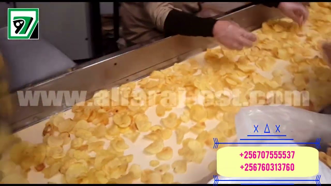 automatec chips potato production line