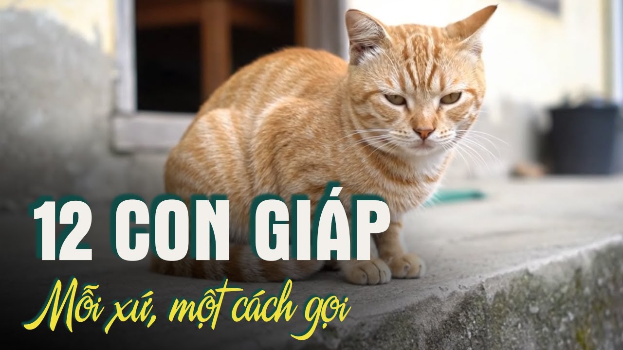 12 Con Giáp, Mỗi Xứ Kể Thời Gian Một Kiểu