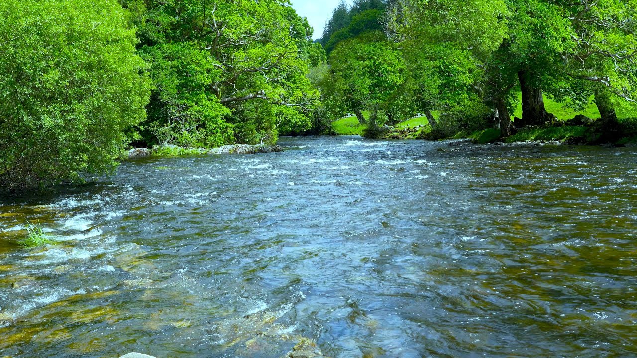 4K River Flow in Mountain Forest (No Birds) | River White Noise | Water Sounds for Sleep, Meditation