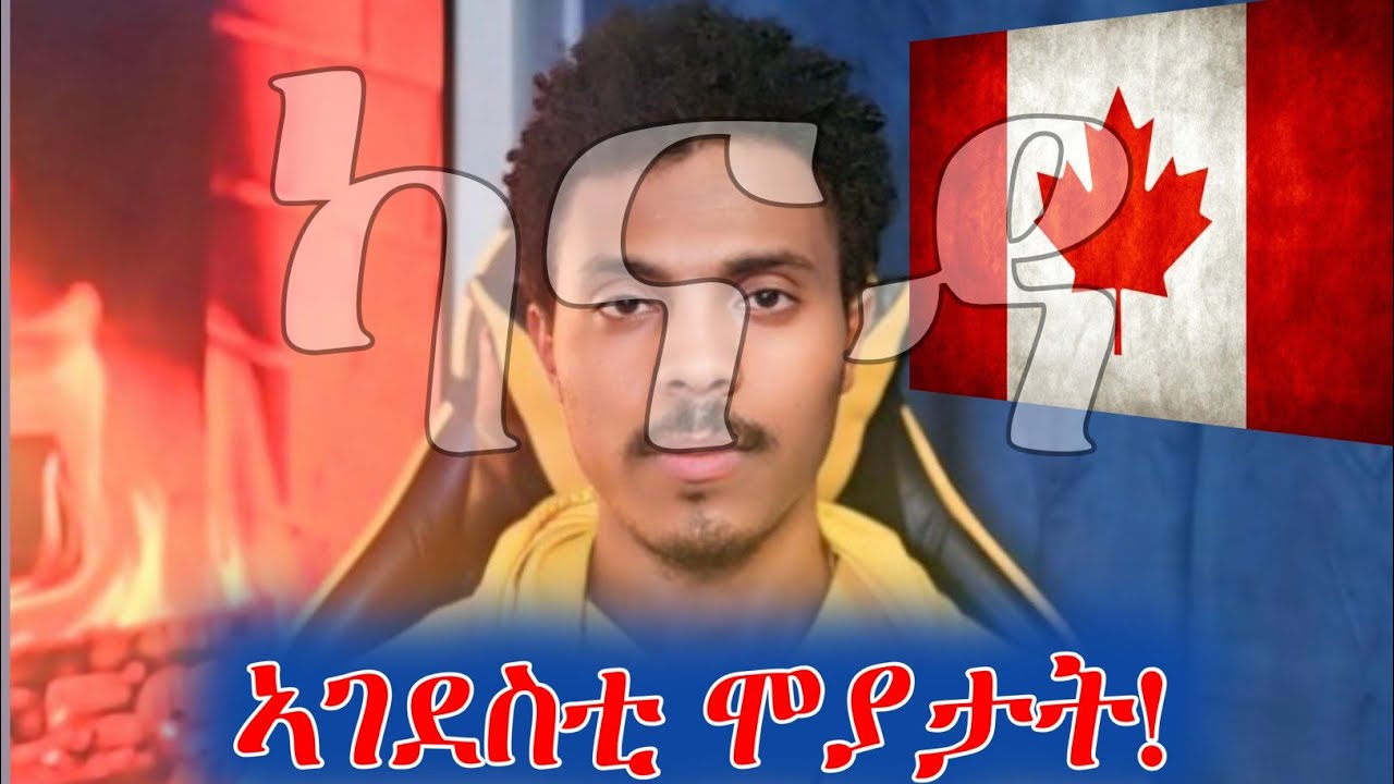 ኣብ ካናዳ ከም ስደተኛ ክትዕወት ​​ዝሕግዙኻ ብሉጻት  ክእለታት”