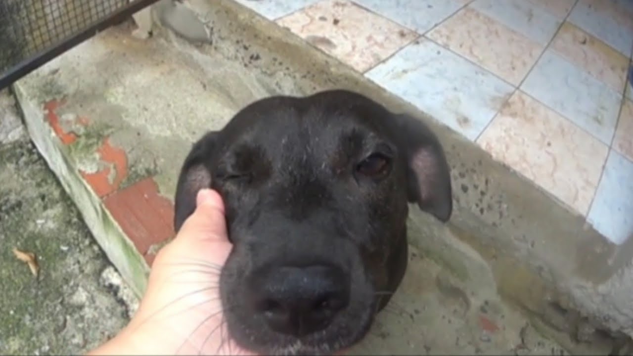 Olha O Que Eu Fiz