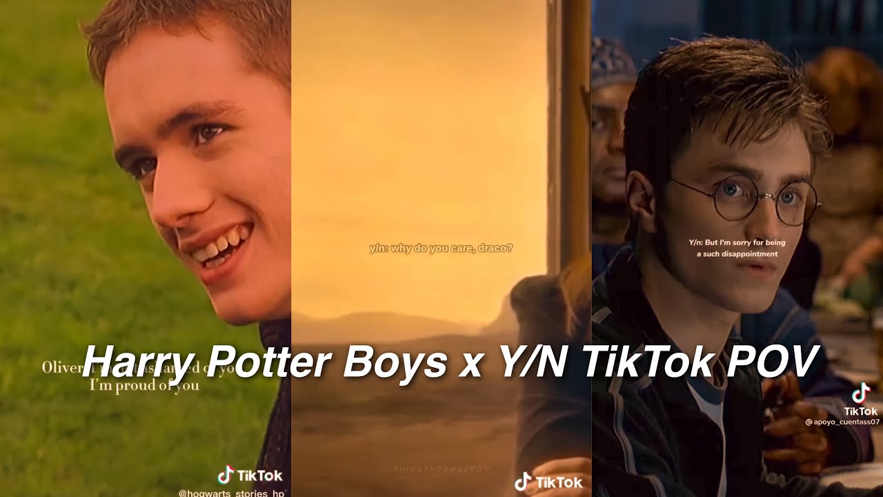 Harry Potter Boys x Y/N TikTok POV Compilation