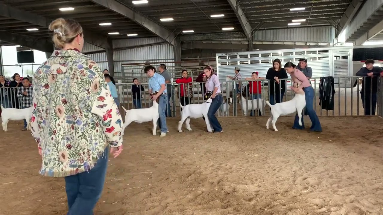 Team GCP- Sonny Brazil Classic Goats Class 8 01/25/25