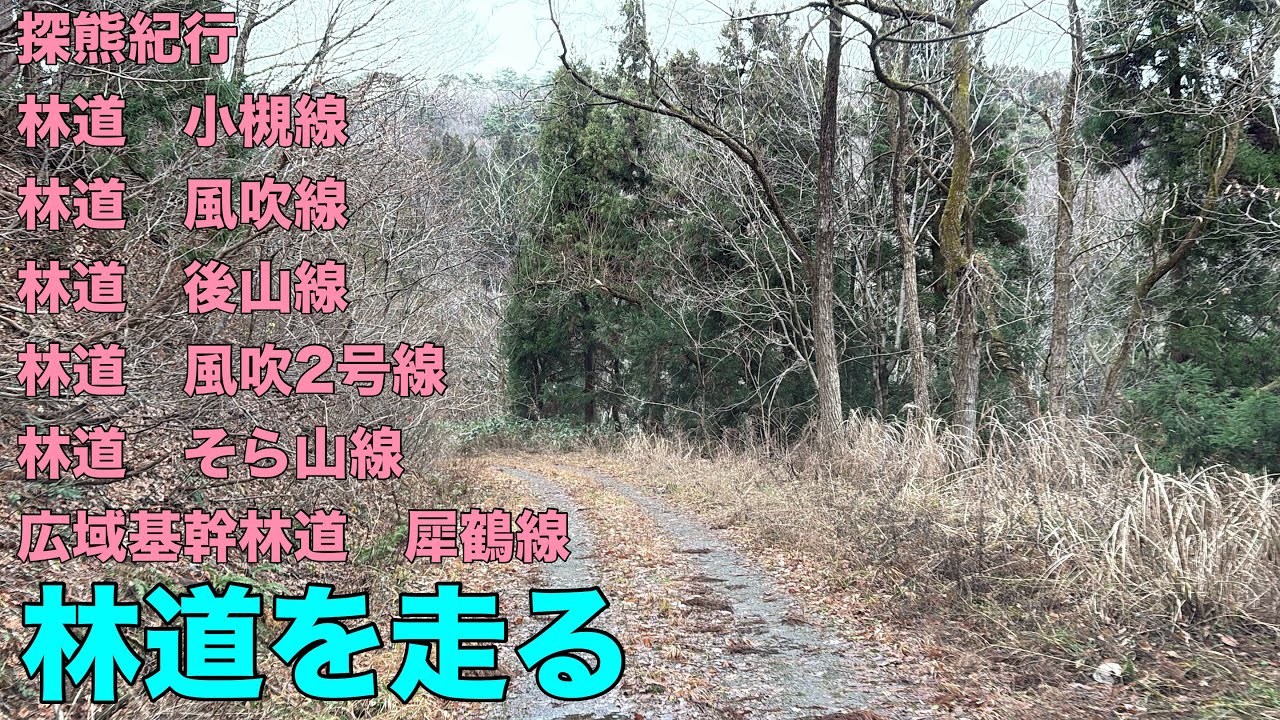 探熊紀行（白山市月橋町～金沢市野田町）の巻