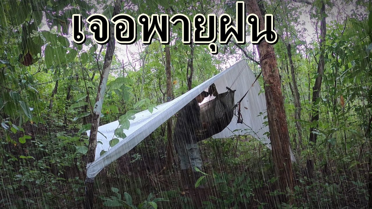 โดนพายุฝนกลางป่า ฟ้าร้องเสียงดัง อันตรายสัตว์มีพิษออกหากินกลางคืน | นอก บ้าน