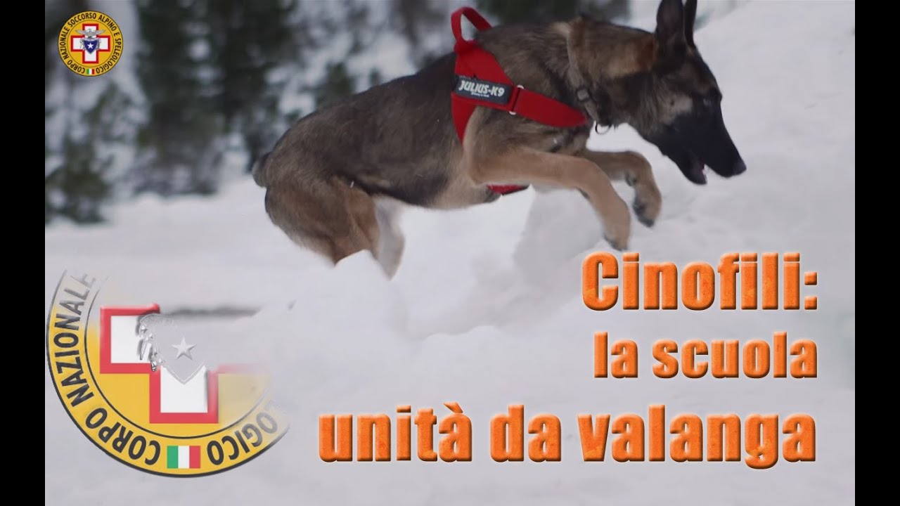 CNSAS - Le unità cinofile da valanga, la scuola