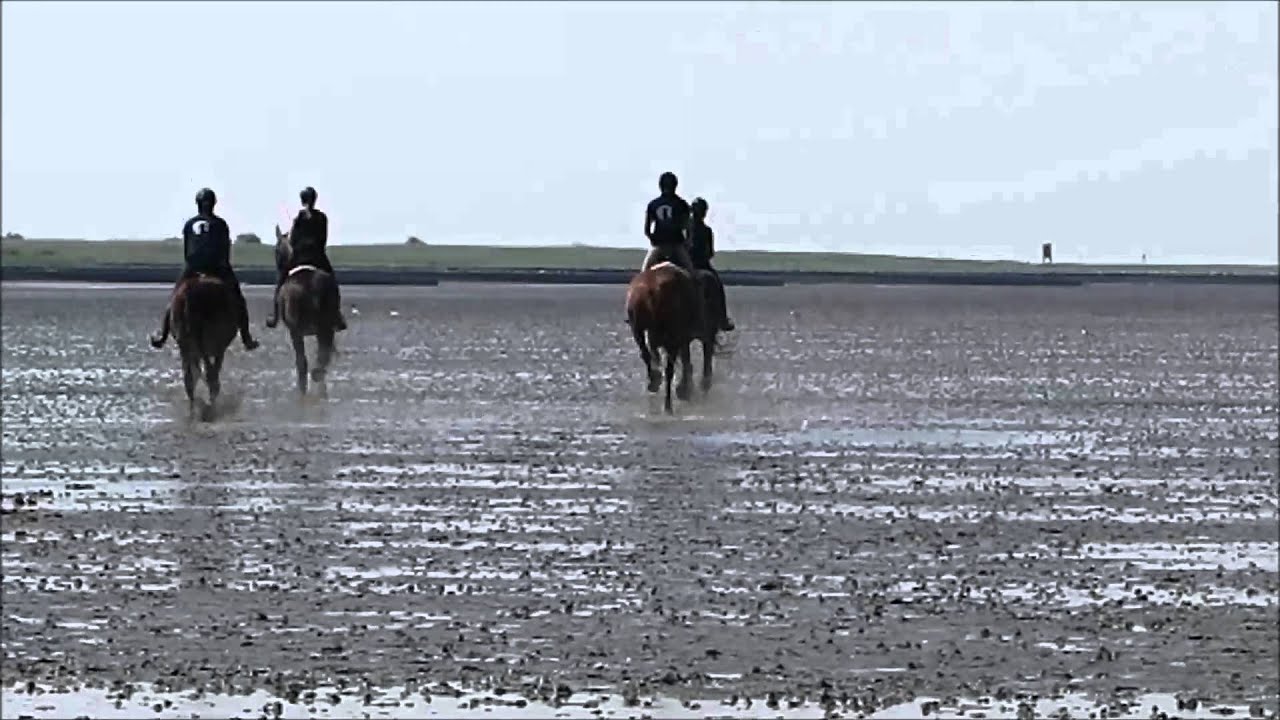 Wattrennen Cuxhaven 2015