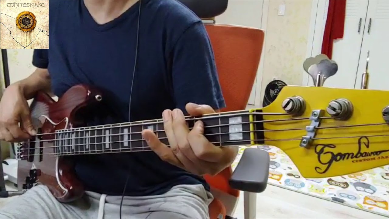 Whitesnake -  Now You're Gone(Bass cover)