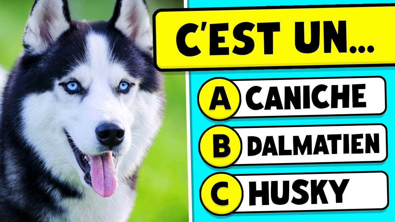 Devine la RACE de CHIEN 🐶🤔✅ | QUIZ ANIMAUX 🐾