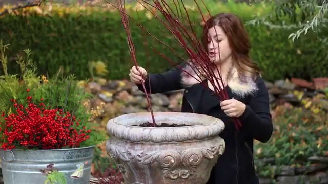 DIY Holiday Outdoor Planter | Festive Winter Urn by Proven Winners®