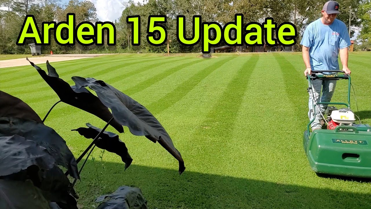 Arden 15 Bermuda Update - Just a Mow in October