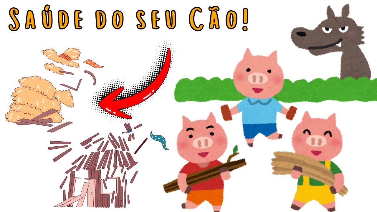 EXPLICANDO MOTIVO DAS DOENÇAS DOS CÃES EM 3 etapas 3 PORQUINHOS 🐷