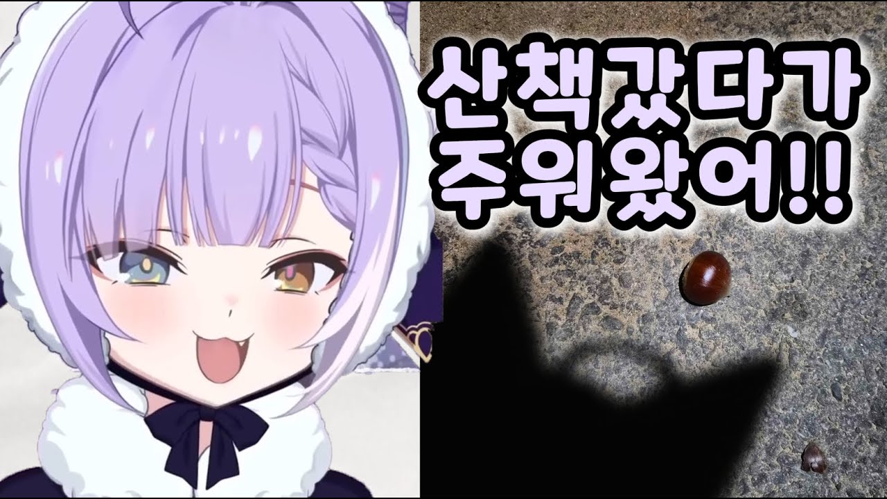 산책갔다 주워온 밤 사진 보여주는 귀엽고 초딩같은 부키