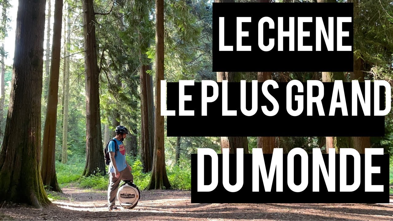 L’aventure m’appelle #2 : L’arboretum de la Jonchère