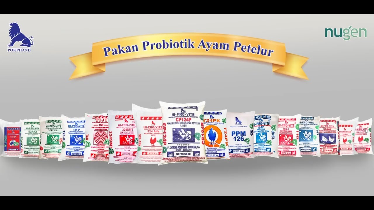 Pakan Probiotik Ayam Petelur - PT Charoen Pokphand Indonesia Tbk