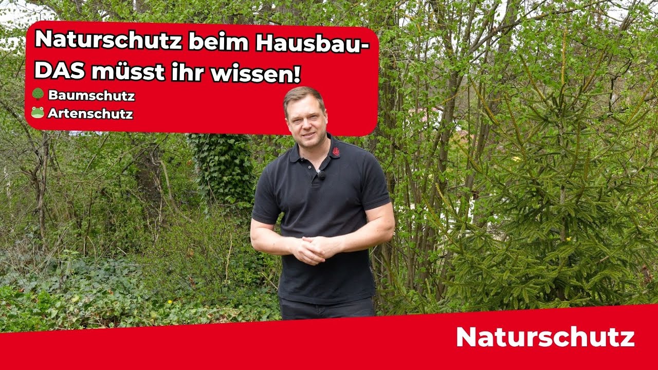 🌿 Naturschutz auf der Baustelle – das solltet ihr unbedingt wissen! 🏡🛠️