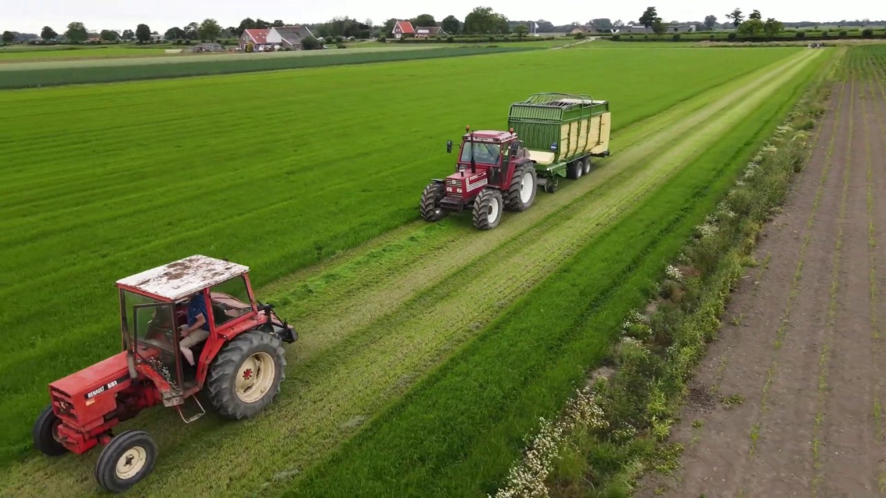 Vers gras voeren Gelderswoude