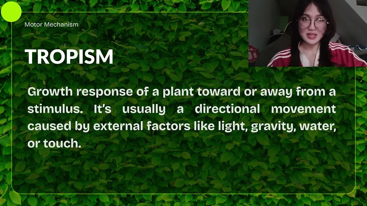 Sensory and Motor Mechanism in Plants and Animals Part 5/5