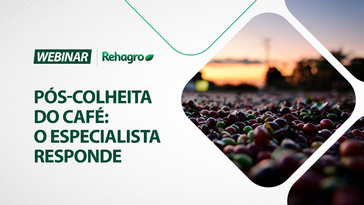 PÓS-COLHEITA DO CAFÉ: ENTENDA SEUS IMPORTANTES PROCESSOS | Webinar Café