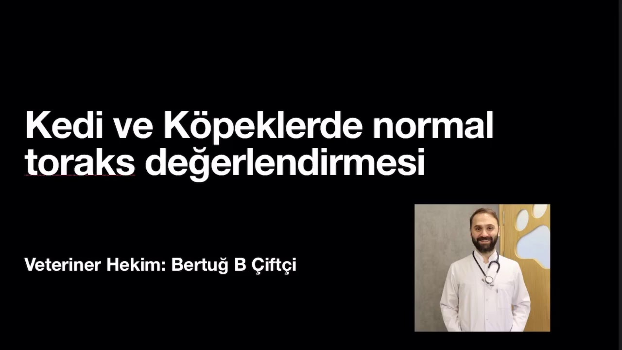 Kedi ve Köpeklerde Normal Torax X-Ray radyografisi