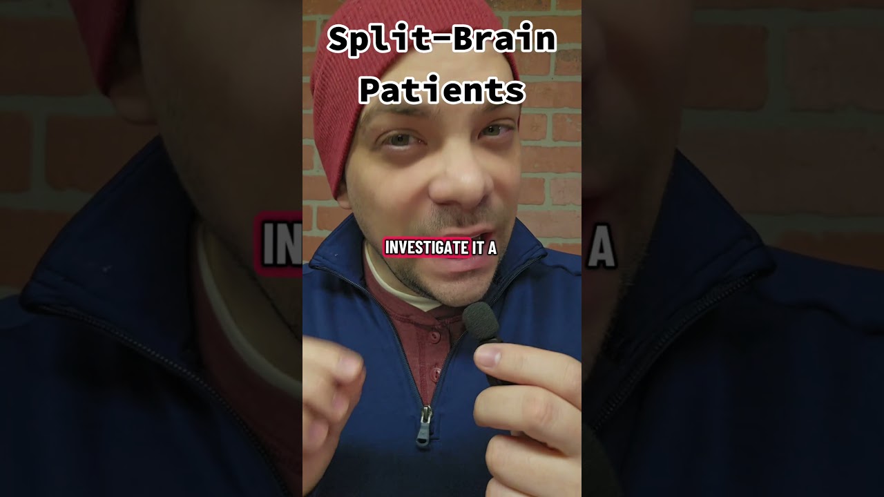 Split-brain patients: Two brains in one skull?