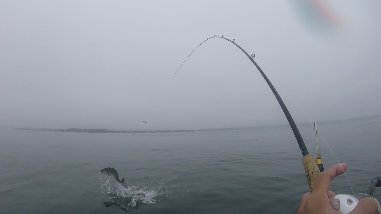 Catching a BIG SALMON with my BARE HANDS - Monterey Bay Salmon Fishing
