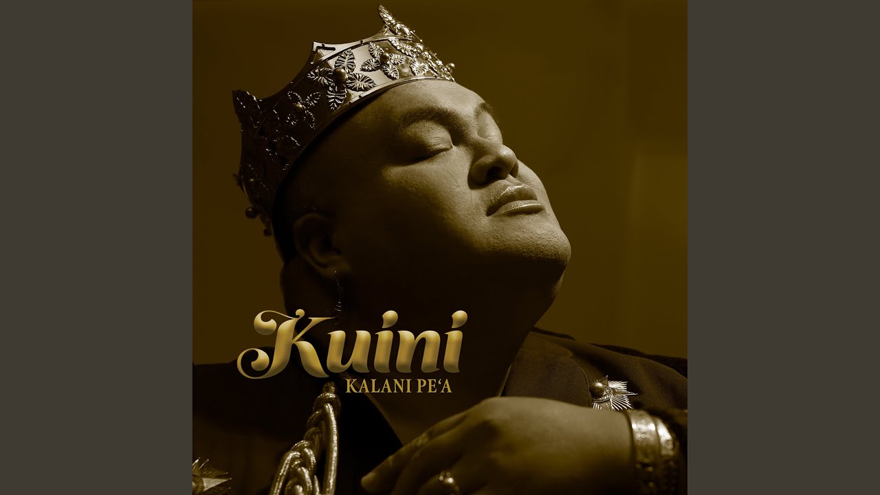 Ka Naʻi Aupuni