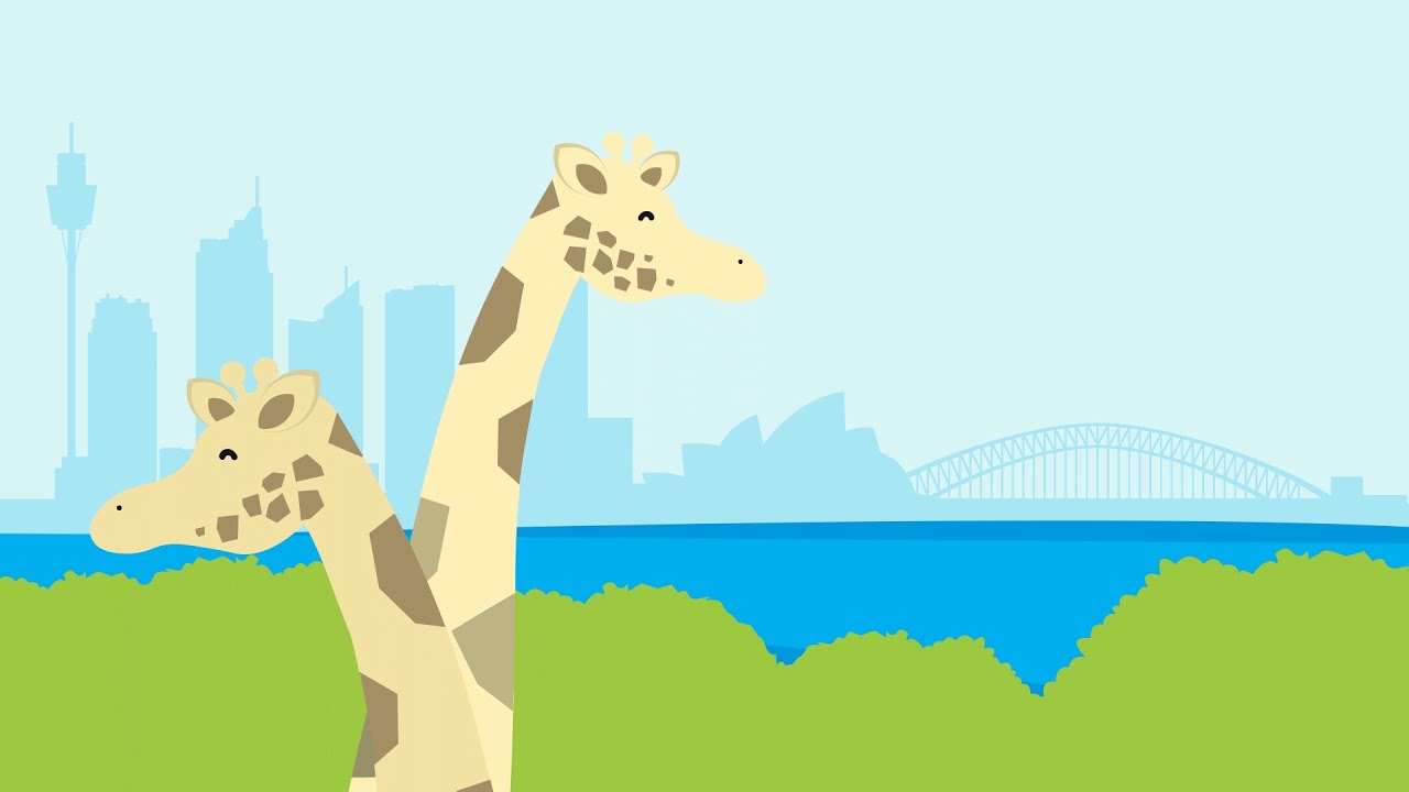 Taronga Zoo - Digital Strategy Animation