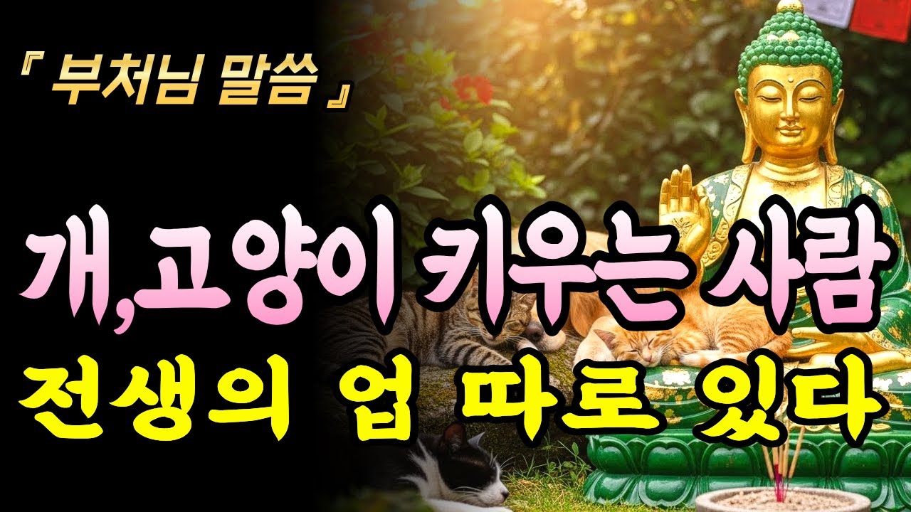 강아지 고양이 키우는 사람 전생의 업은 따로있다 | 부처님 말씀 | 전생의 업 | 인생조언 | 불교철학