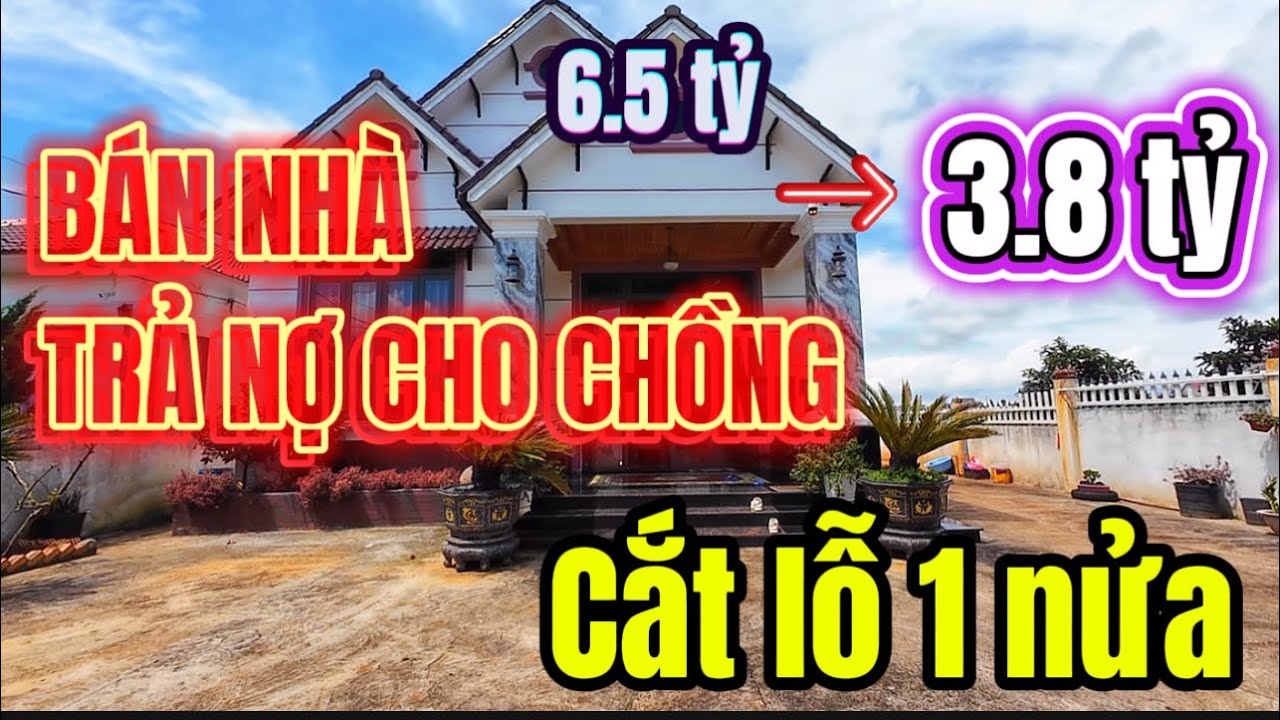 THƯƠNG CHỊ VỢ!!! BÁN LỖ từ 6.5 tỷ còn 3.8 tỷ cho căn nhà vườn 1000m2 để TRẢ NỢ CHO CHỒNG