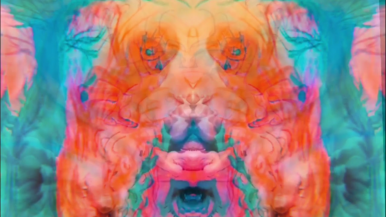 don't waste your mind ❀ daisy maize