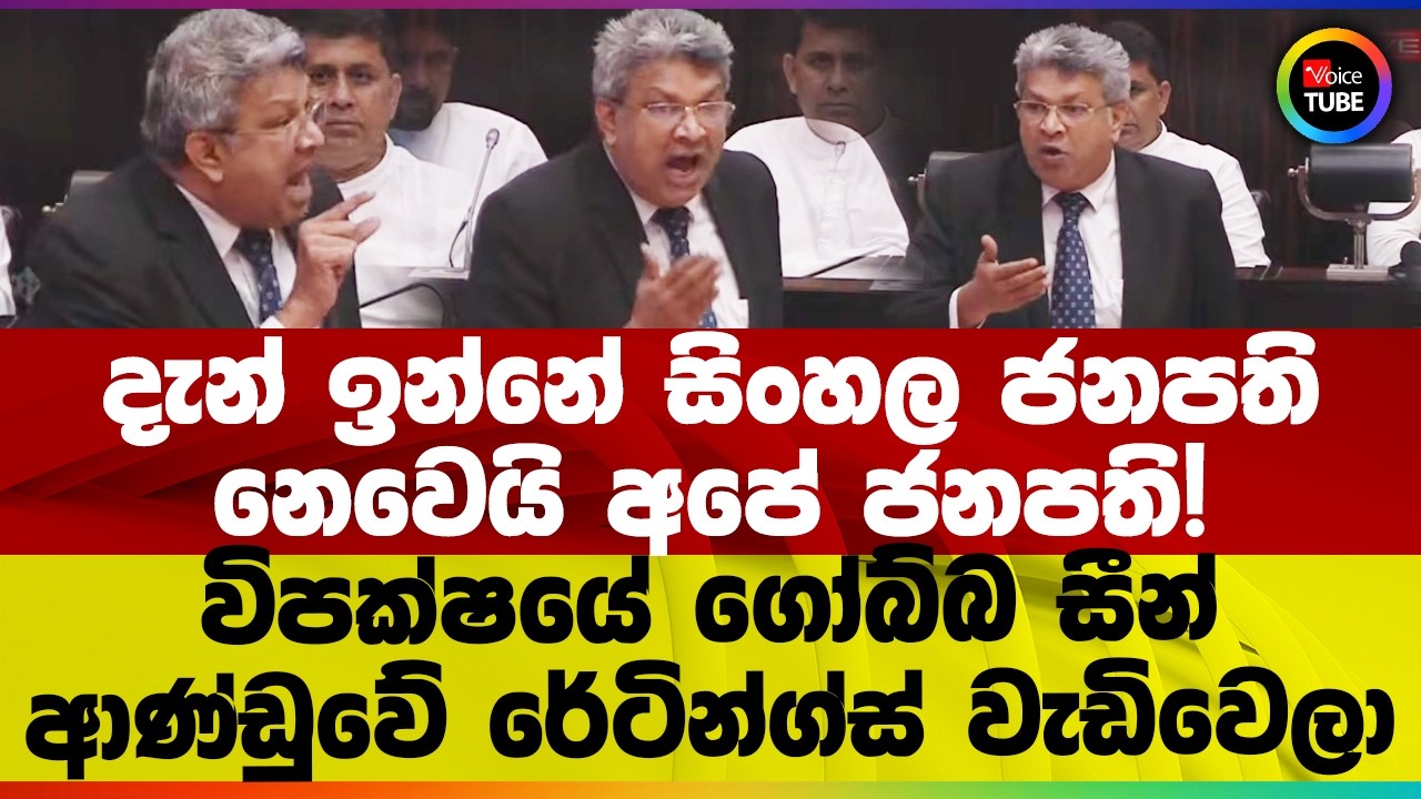 පොඩි හනුමට කනට ගැහුවා වගේ හර්ෂණ කෙළින් කිව්ව සැර කතාව‍ | ඡන්දයක් තිබ්බත් අපි 65%ක් ගන්නවා