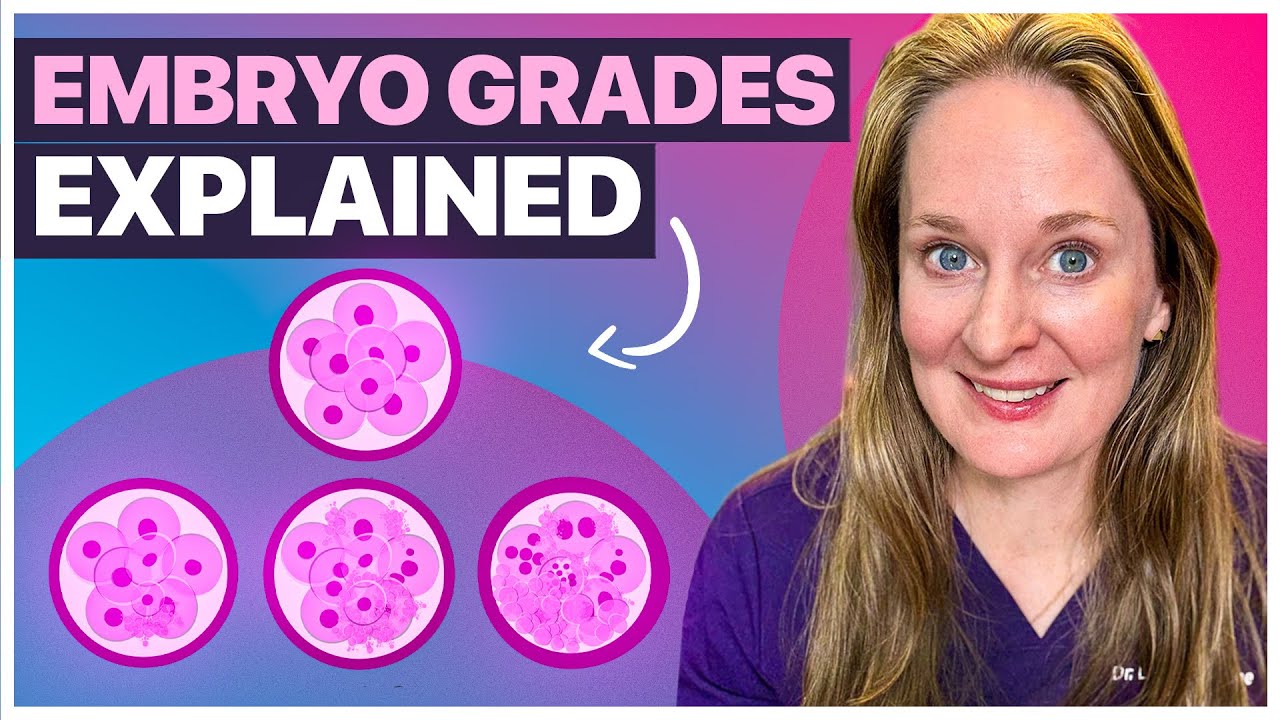 The Truth about Embryo Quality: Blastocyst Grading Explained Simply