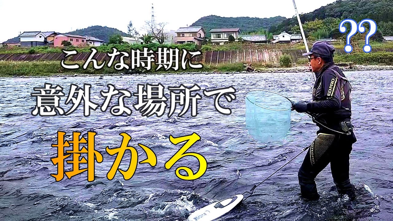 鮎釣り　今シーズンを総括してみました／長良川中央鮎之瀬