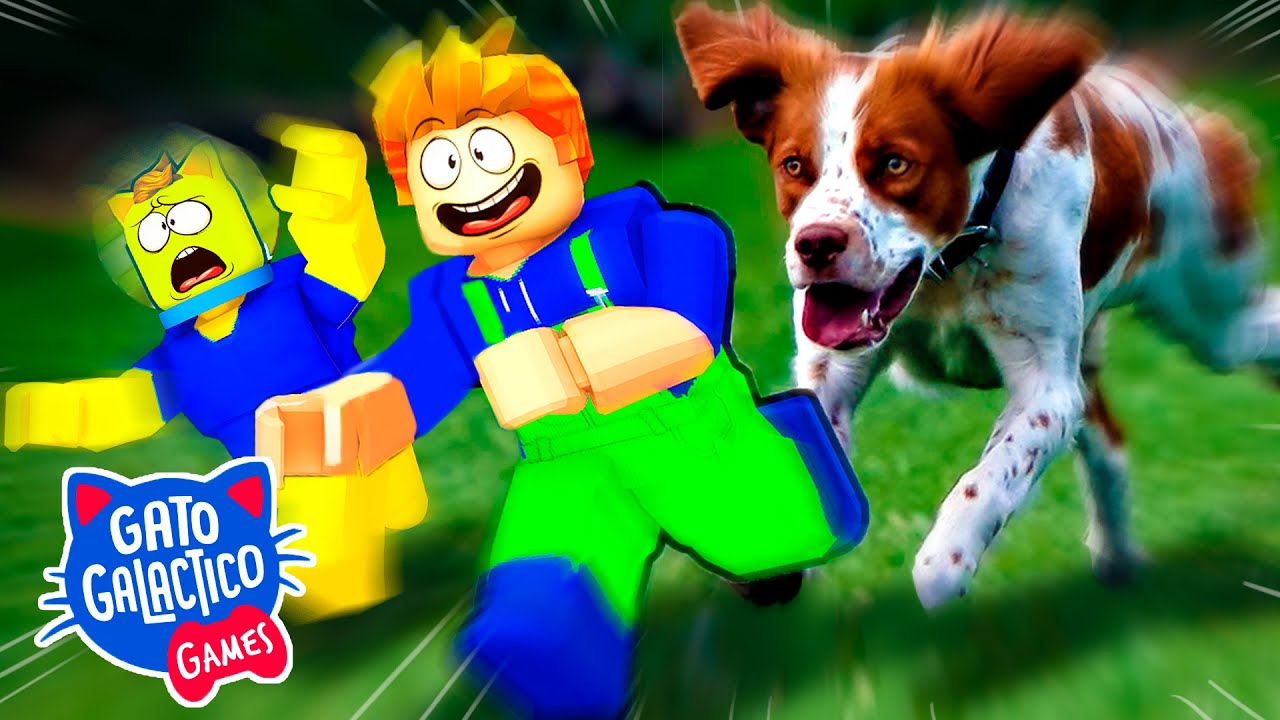O CACHORRO VAI NOS PEGAR !!! Roblox Escape the Pet Store Obby Gato Galactico