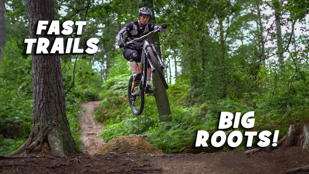 Riding Off Piste Trails in Leith Hill