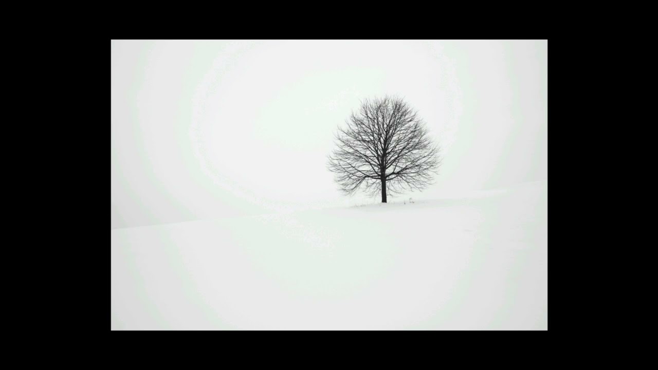 sample……몇이드라?