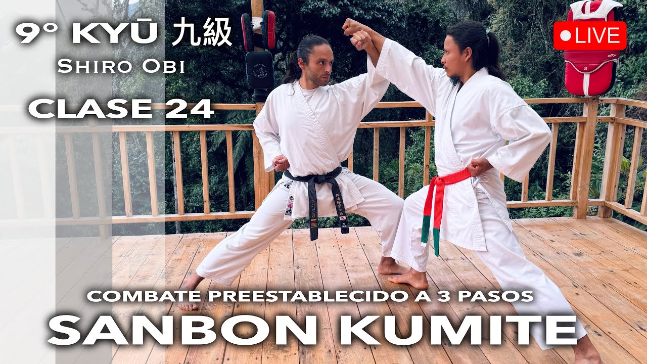 CLASE 24: KIHON SANBON KUMITE / Combate Preestablecido a 3 pasos 9 KYŪ