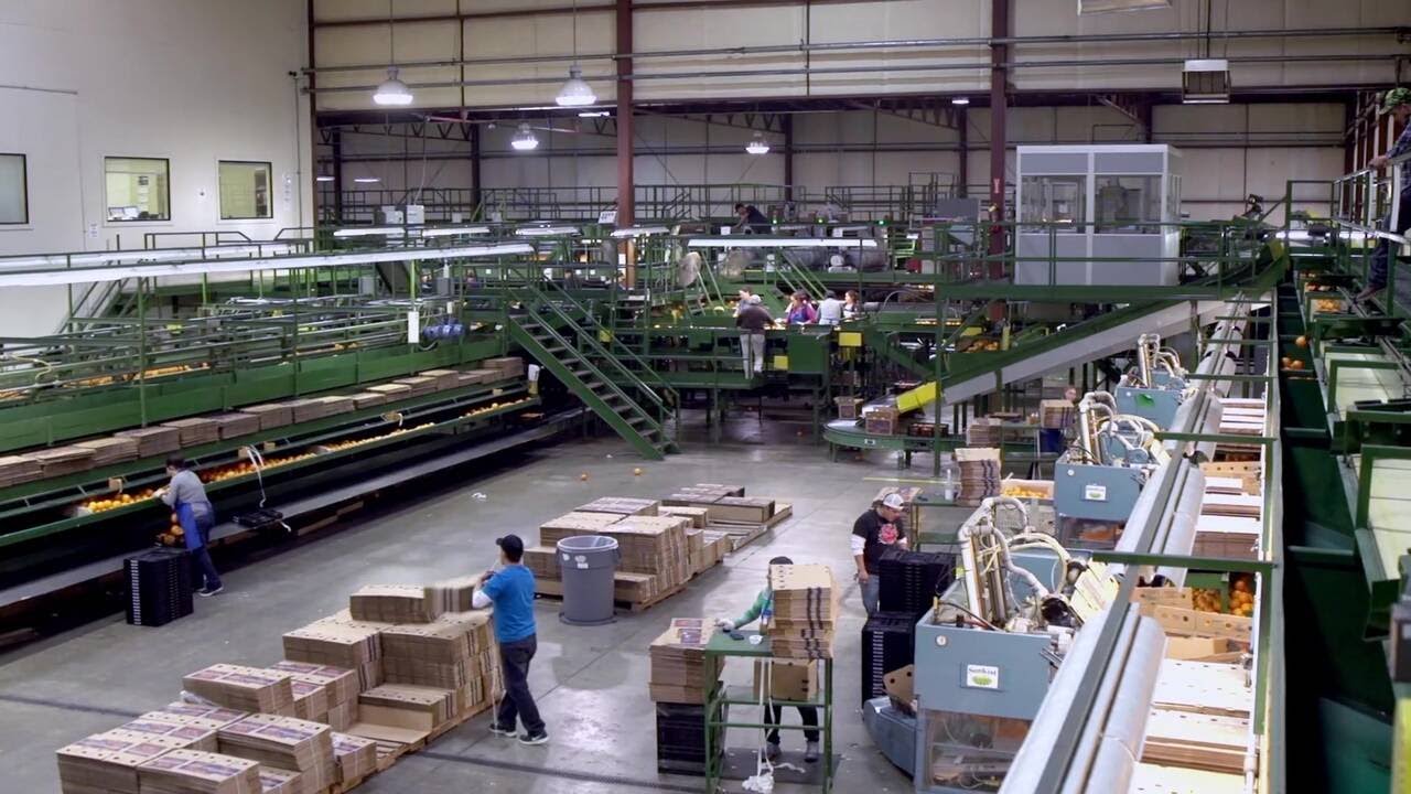 Customer Story - Booth Ranches - Integrated Citrus Solution